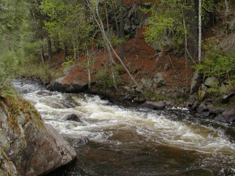 Bull Falls