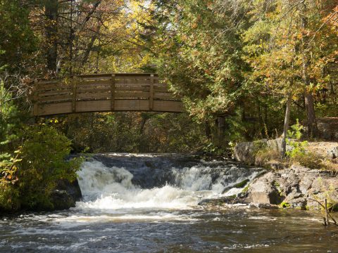 Mcclintock Falls